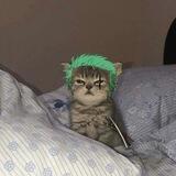 Marimo's gf