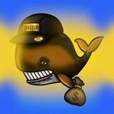 Hi Wнαle Boт 🐬