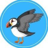 PuffinGlobal Airdrop