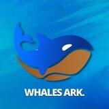 ️WhalesArk Calls