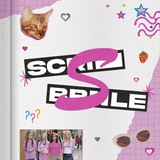 HIRMIN SCRIBBNLE