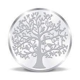 Silver Coin