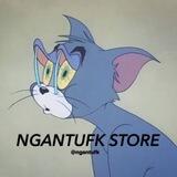 Ngantufk Store Robot
