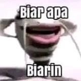 aisu