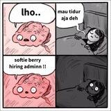 hirmin softberry