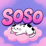 猫猫资源搜索🔎