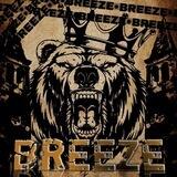 seleksi breeze