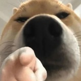 是不是想偷懒