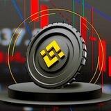 BNB~Payout Bot🎗️