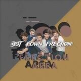 FRECTION BOT