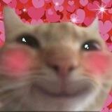 ravvv :3