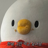 oyiipaw