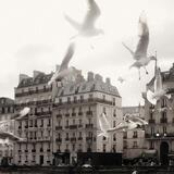 olydia.