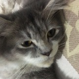 kacey assistant