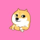 我是柴犬