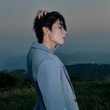 Wooya