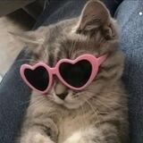 miaw