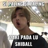 Si paling paling