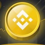 BNB AUTOPAY BOT