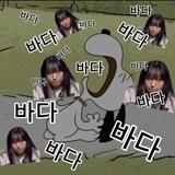 이바다's
