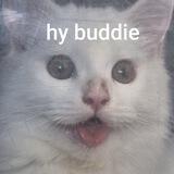 buddie