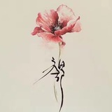 小柯的管家