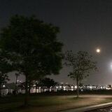 bk