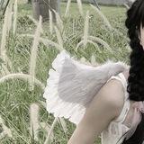 🦢