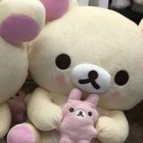 ८ ⁺ .. rekber_boneka ; order’s