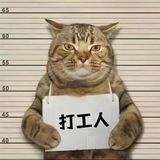 双向机器人