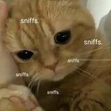 sheriee