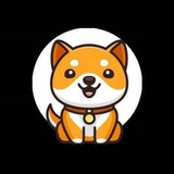 💲BABYDOGE