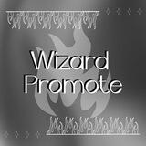 ASISTEN WIZARD