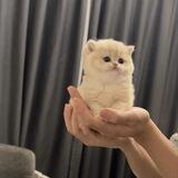 𝗗𝗘𝗘𝗣𝗧𝗔𝗟𝗞 𝗦𝗘𝗦𝗦𝗜𝗢𝗡