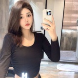 月楼小秘书