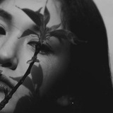 𝐀𝐬𝐬𝐢𝐬𝐭𝐚𝐧𝐭 𝐏𝐫𝐚𝐭𝐢𝐧𝐠'𝐬