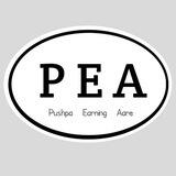 Pushpa Earning Area Support