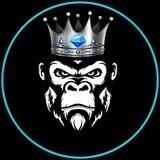 Ton Kong Airdrop