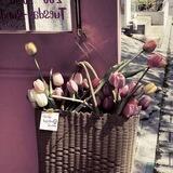 Bloem Tale