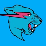 MR BEAST GIVEAWAY