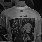 bintang