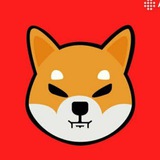 SHIB Airdrop loots 🤑
