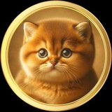 PassionKitte Airdrop (Plan on MEXC and Bitmart)
