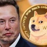 DOGE AIRDROP