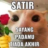 ajaaas