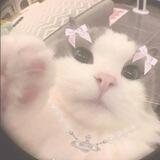 lovely .. cheza ! 🕊 ⟢˖⊹