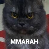 miaw