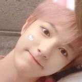 wtb rayaa