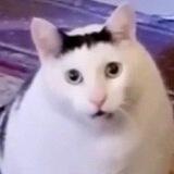 ©