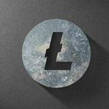 Litcoin Automatic Payment
